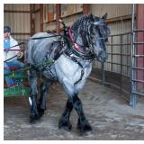 Spring Sale Photos Sold For $21,000