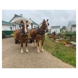 Lot# 1&2