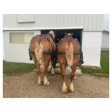 Lot# 1&2