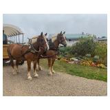 Lot# 1&2