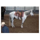 Spring Sale Photos Sold For $10,500