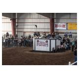 Spring Sale Photos 