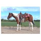 Lot# 538 3 Yr Old AQHA Gelding Sire: Faceit I am A Version