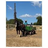 Lot# 430-440 Gypsy - Spotted Draft X gelding - mare 3 and 4 yrs old