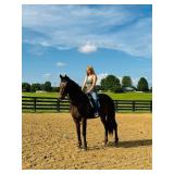 Lot#410 3 yr old Appaloosa - Friseian X Mare