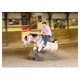lot# 417 5 yr old AQHA Gelding Sire: One Shiney Metallic By: Metallic Cat Dam: Summers Spark