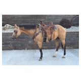 Lot#435 4 yr old AQHA gelding Sire: SJ Fiddle Eyed Jack  By: Colonel Eyed