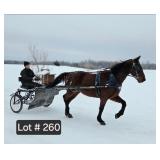 Lot# 260 7yr Stdbred Gelding T.S.S Women can drive