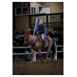 Yoder Bros. Large Horse & Carriage Auction