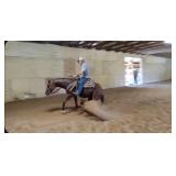 Lot# 485 6yr AQHA gelding by Heza Custom Solano X Seductive Chic. Reining trained by Bruce Towne 