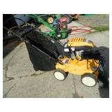 Cub Cadet Self-propelled leaf vac