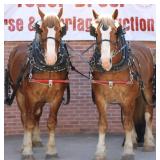 Yoder Brothers Large Horse And Carriage Auction