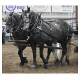 2025 Auction Highlight