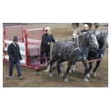 2025 Auction Highlight
