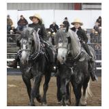 2025 Auction Highlight