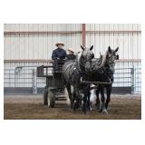 2025 Auction Highlight