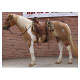 Yoder Brothers Large Horse And Carriage Auction