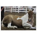 Sold $21,000