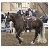 Sold $15,500