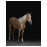 Lot#456 4yr old AQHA gelding Sire: Metals Jaz Dam: Justa Off Lady