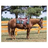 4yr old AQHA-NRHA gelding Sire: Walla Walla Whiz Dam: Its A Magnum