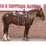 Yoder Brothers Large Horse And Carriage Auction