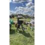 Yutzy Semi Annual Consignment Auction