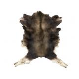 Montana Professional Taxidermy Tanned Moose Hide
