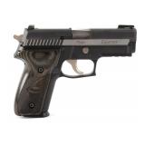 Sig Sauer P229 Equinox Compact .40 S&W