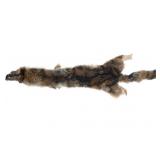 Eastern Coyote Tanned Hide