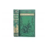 "The American Family Robinson" by D. W. Belisle