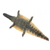 Trophy Florida Alligator Full Mount Head & Hide