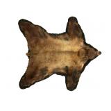 Montana Cinnamon Black Bear Hide Rug Taxidermy