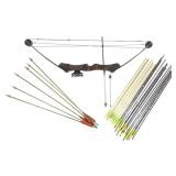 Browning Nomad II Bow & Easton, Beman Arrows