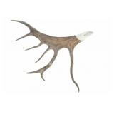 Alaskan Folk Art Caribou Antler Eagle by B. Merry