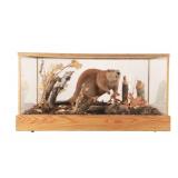 Beaver Professional Taxidermy Habitat Display Case