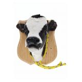 Montana Taxidermy Baby Holstein Calf Head Mount