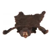 Montana Black Bear Professional Taxidermy Hide
