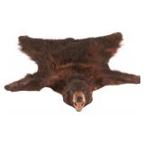 American Black Bear Hide Rug Taxidermy