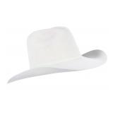 Connelly's Saddlery Resistol 4X Beaver Cowboy Hat