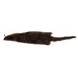 Montana Tanned River Otter Fur Hide