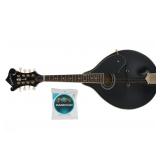 Washburn M-1SDLB A-Style Mandolin