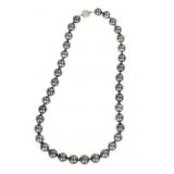 Scarce Black Tahitian Pearl 14K Necklace