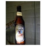 YUENGLING BEER LIGHT