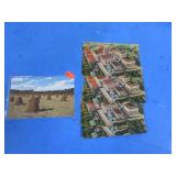 PLANTERS NUT & CHOCOLATE CO POST CARDS