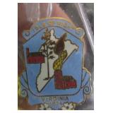 ISLE OF WIGHT COUNTY PIN