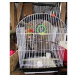 BIRD CAGE