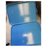 2-- LUNCH TRAYS