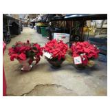ARTIFICIAL POINSETTAS & TUB