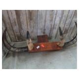 HORN WALL DECOR